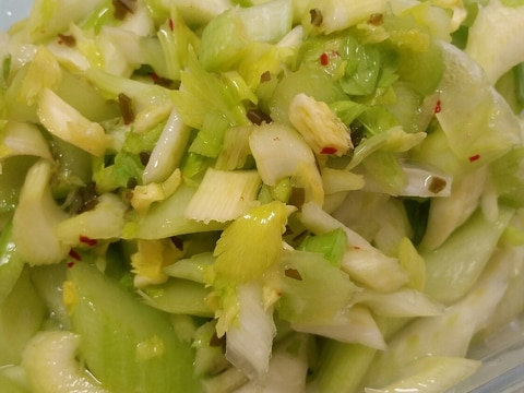 常備菜に!セロリの浅漬け